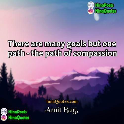 Amit Ray Quotes | There are many goals but one path